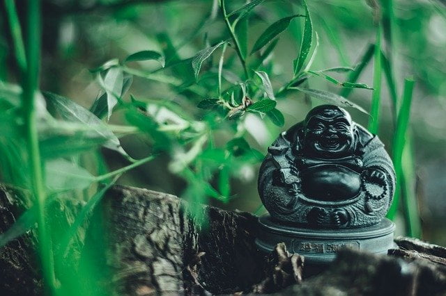 Laughing Buddha – Where to Place at Home?