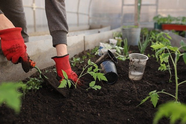 4 Tips On How To Prepare The Soil For Gardening?