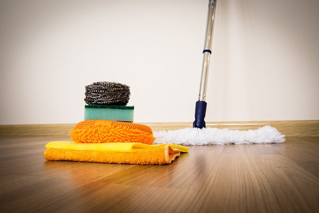 best-cleaning-products -thehomesinfo