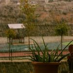 remove-damp-smell-during-rainy-season-thehomesinfo