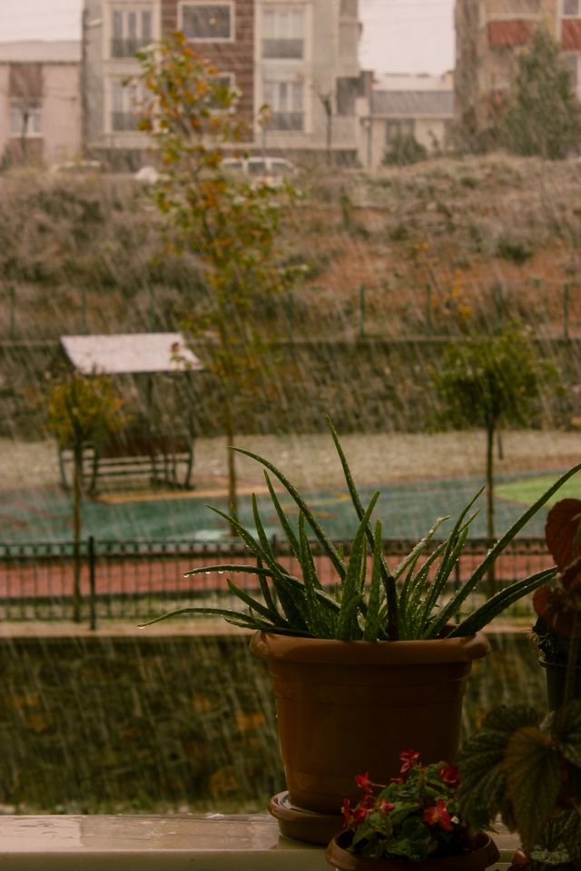 remove-damp-smell-during-rainy-season-thehomesinfo